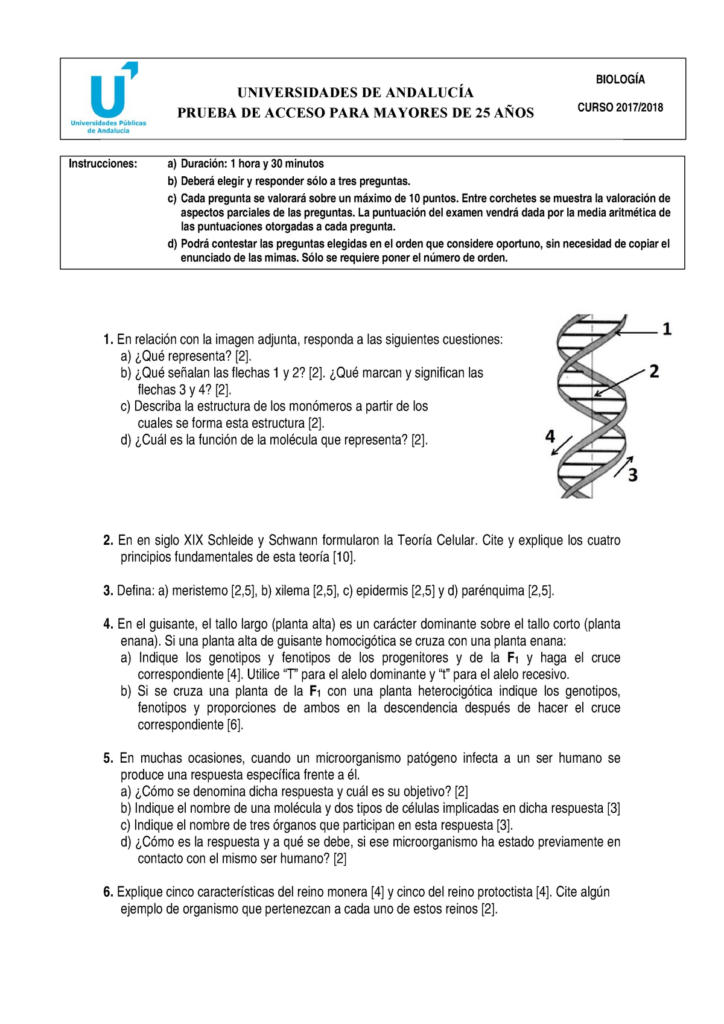 Prueba acceso universidad mayores 25 Andalucía